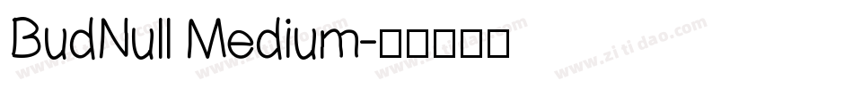 BudNull Medium字体转换